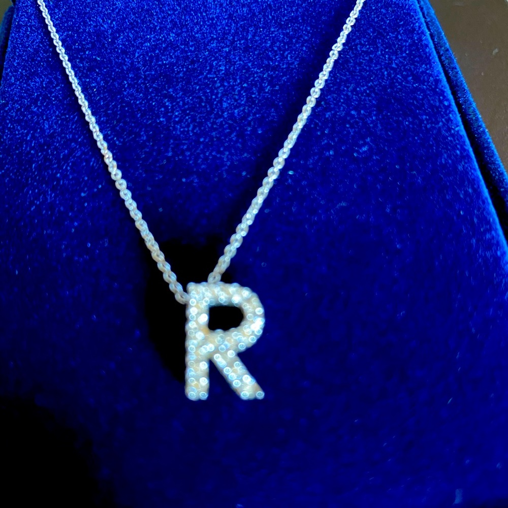 14k White gold diamond pave necklace